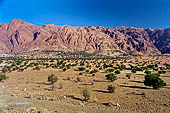 Marocco meridionale - Escursione nella vale di Ameln, nei pressi di Tafraoute, a sinistra si pu notare la roccia chiamata 'la testa di leone'.